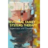Internal Family Systems Therapy 1st Edition